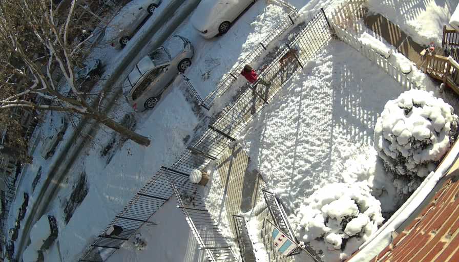 Reolink Camera Two_01_Reolink Home Hub One_20260126090110.jpg